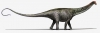 「ブロントサウルス」が帰ってきた　独立した種類の恐竜だったと結論する新研究
