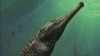 バスくらい大きいワニが海を泳いでいるのを想像してください。それがマキモサウルス・レックスです