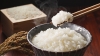 ちょっとした工夫で、いつもよりおいしくお米を炊こう！