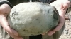 海辺で拾った「巨大な石」に実は約800万円の価値があった