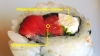 アメリカ人が「寿司」の秘密を解説するムービー